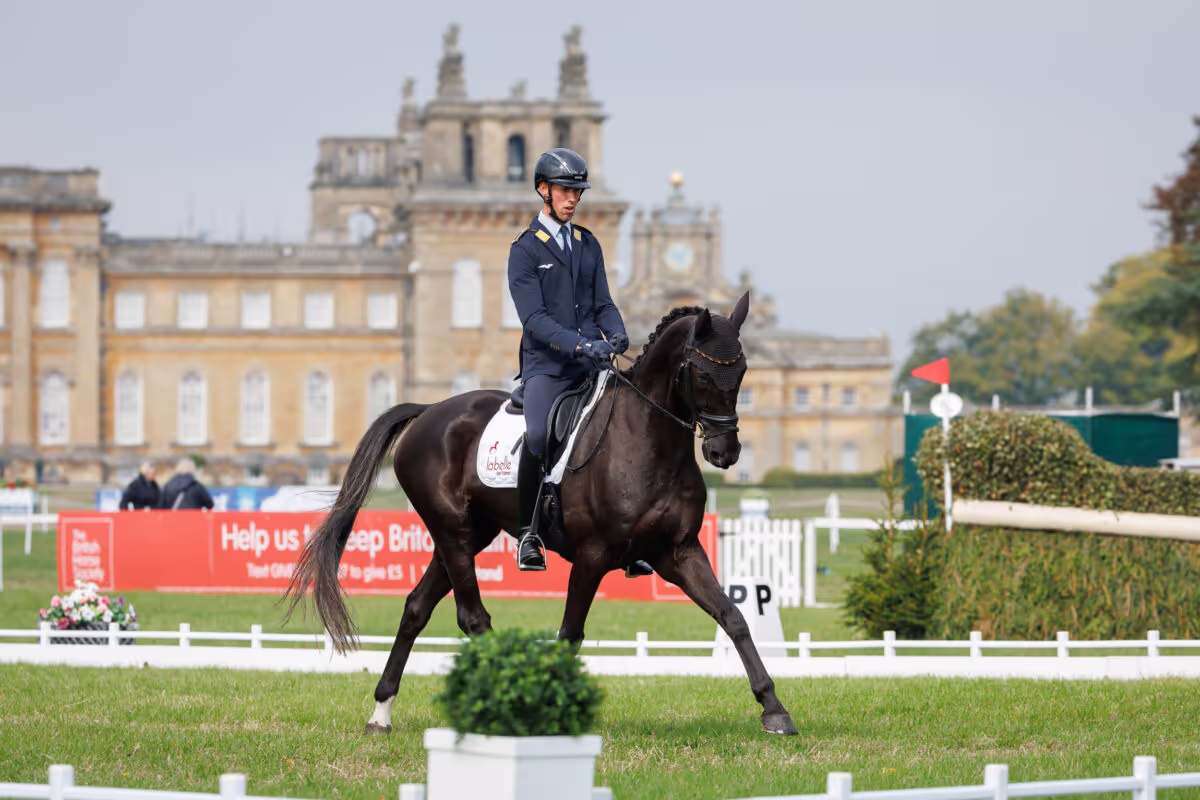 Showjumping at the Agria Blenheim Palace International horse trials 