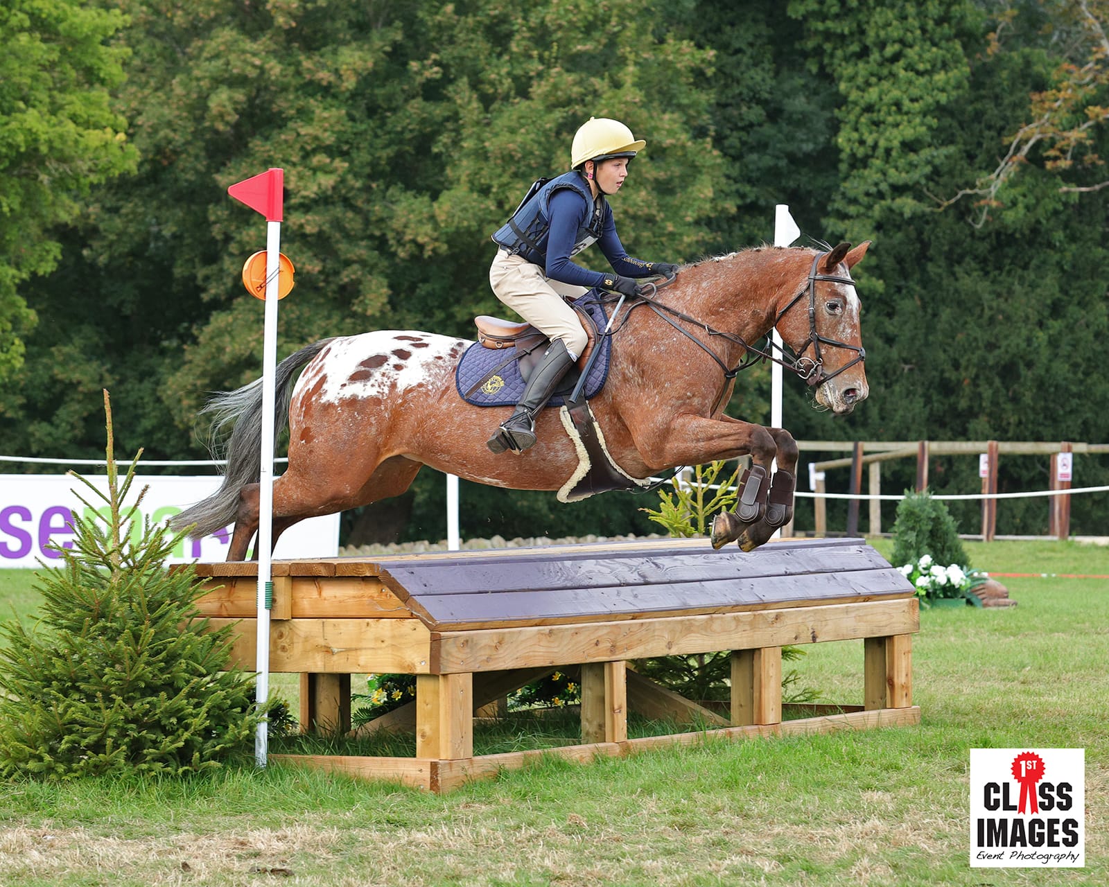 Hensington Arena