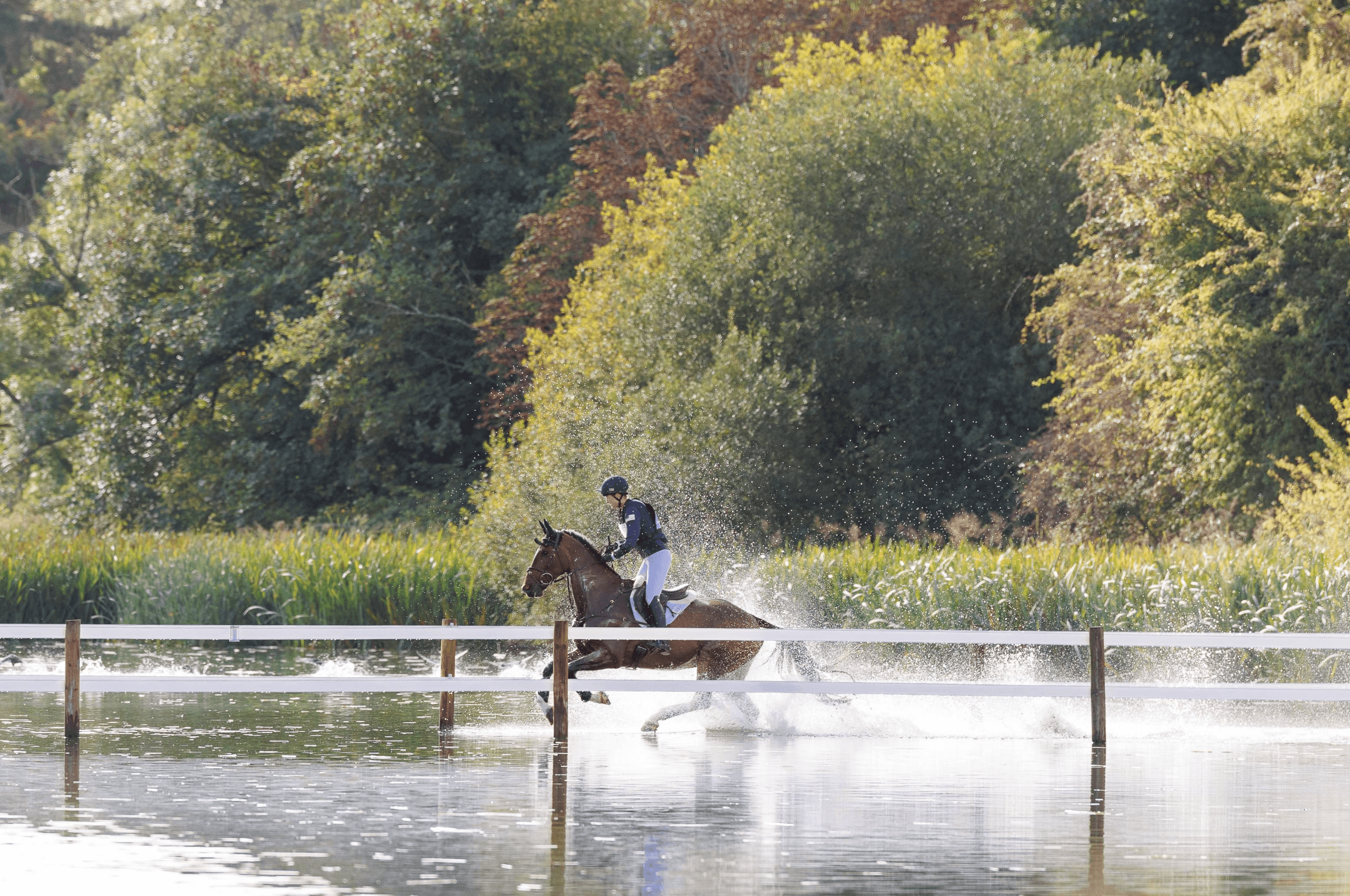 Rider through the water