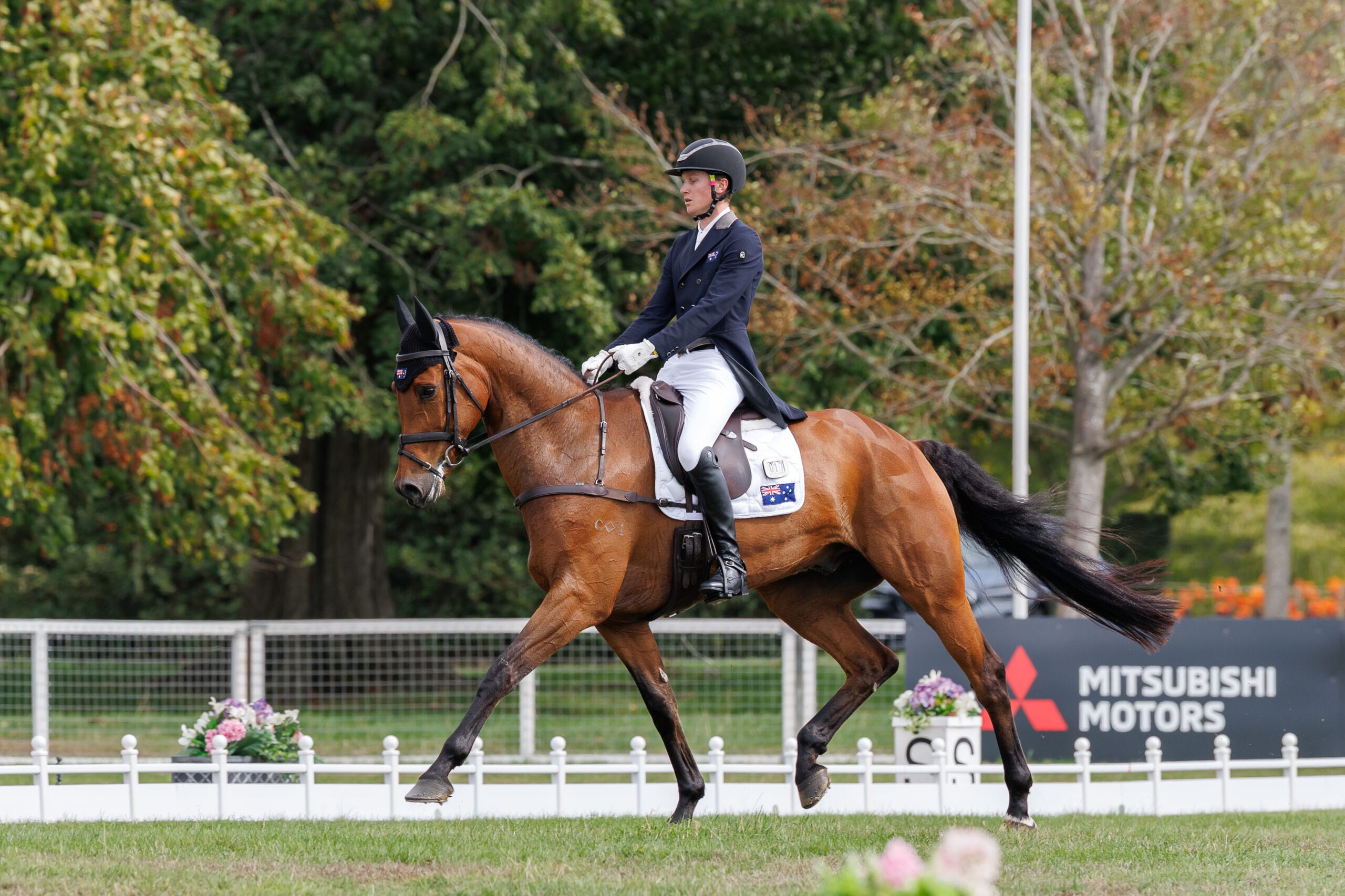 Oliver Barrett (AUS) and Sandhills Briar during the 1st day of Dressage for the CCI4*-L. 2026 Agria Blenheim Palace International Horse Trials. Woodstock, Oxford. England. Thursday 17 September 2026. Copyright Photo: Libby Law Photography