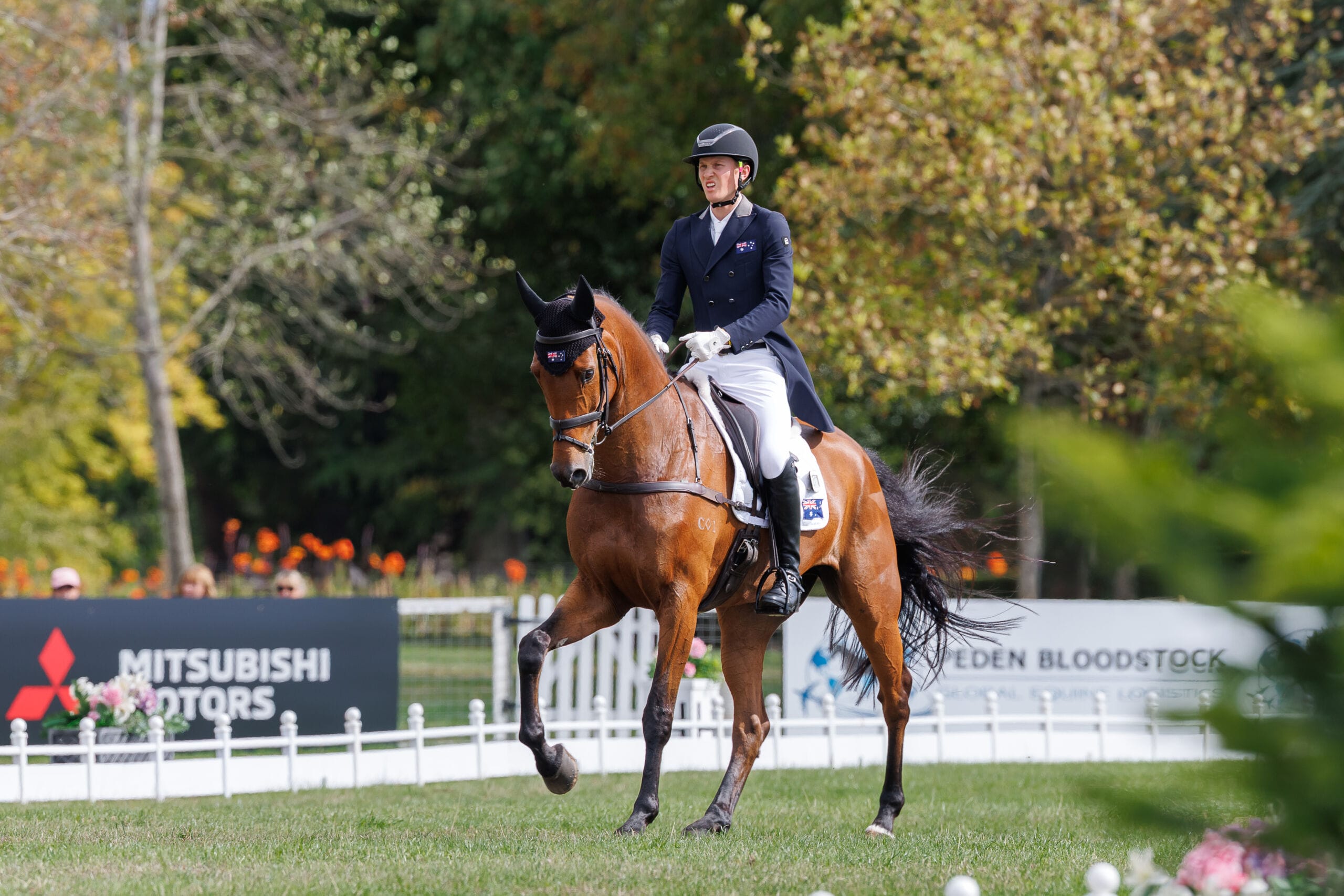Oliver Barrett (AUS) and Sandhills Briar during the 1st day of Dressage for the CCI4*-L. 2026 Agria Blenheim Palace International Horse Trials. Woodstock, Oxford. England. Thursday 17 September 2026. Copyright Photo: Libby Law Photography