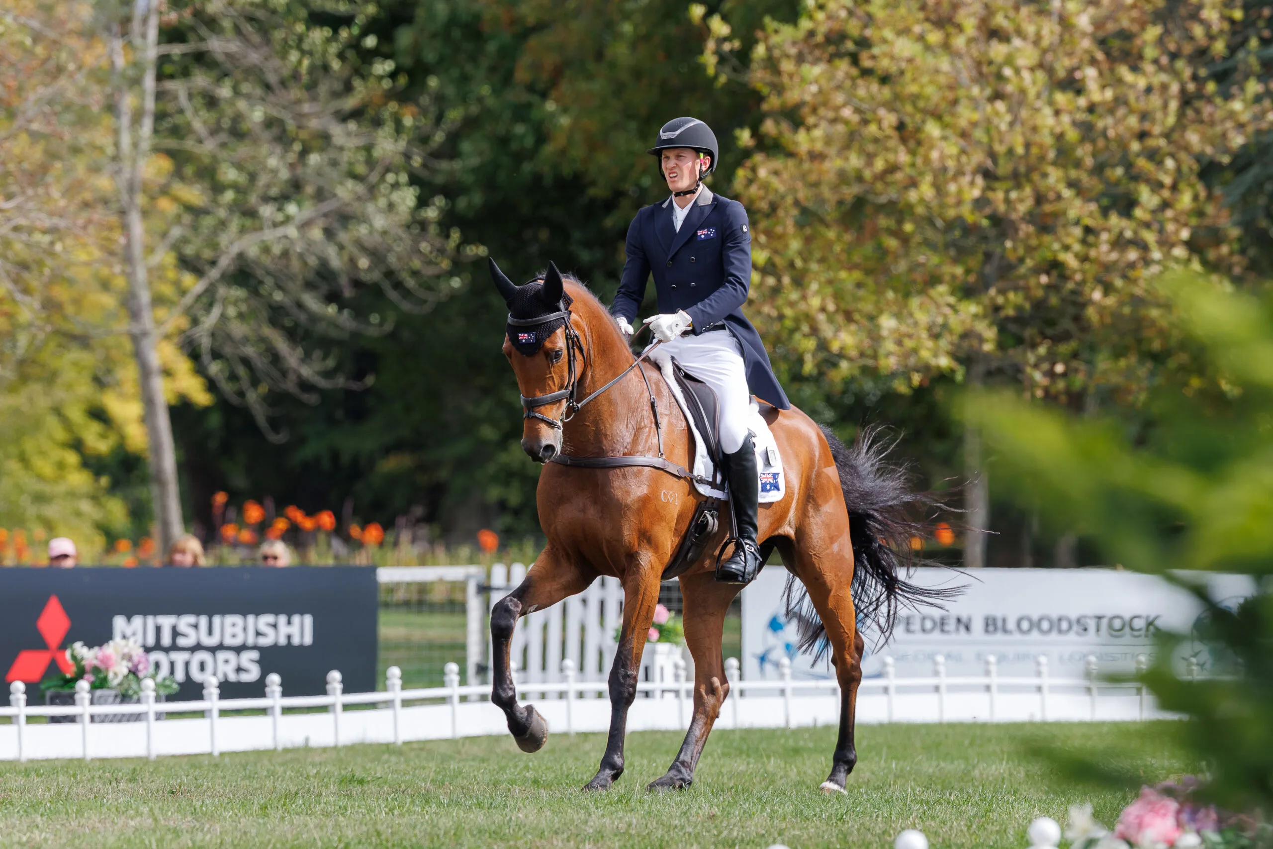 Oliver Barrett (AUS) and Sandhills Briar during the 1st day of Dressage for the CCI4*-L. 2026 Agria Blenheim Palace International Horse Trials. Woodstock, Oxford. England. Thursday 17 September 2026. Copyright Photo: Libby Law Photography