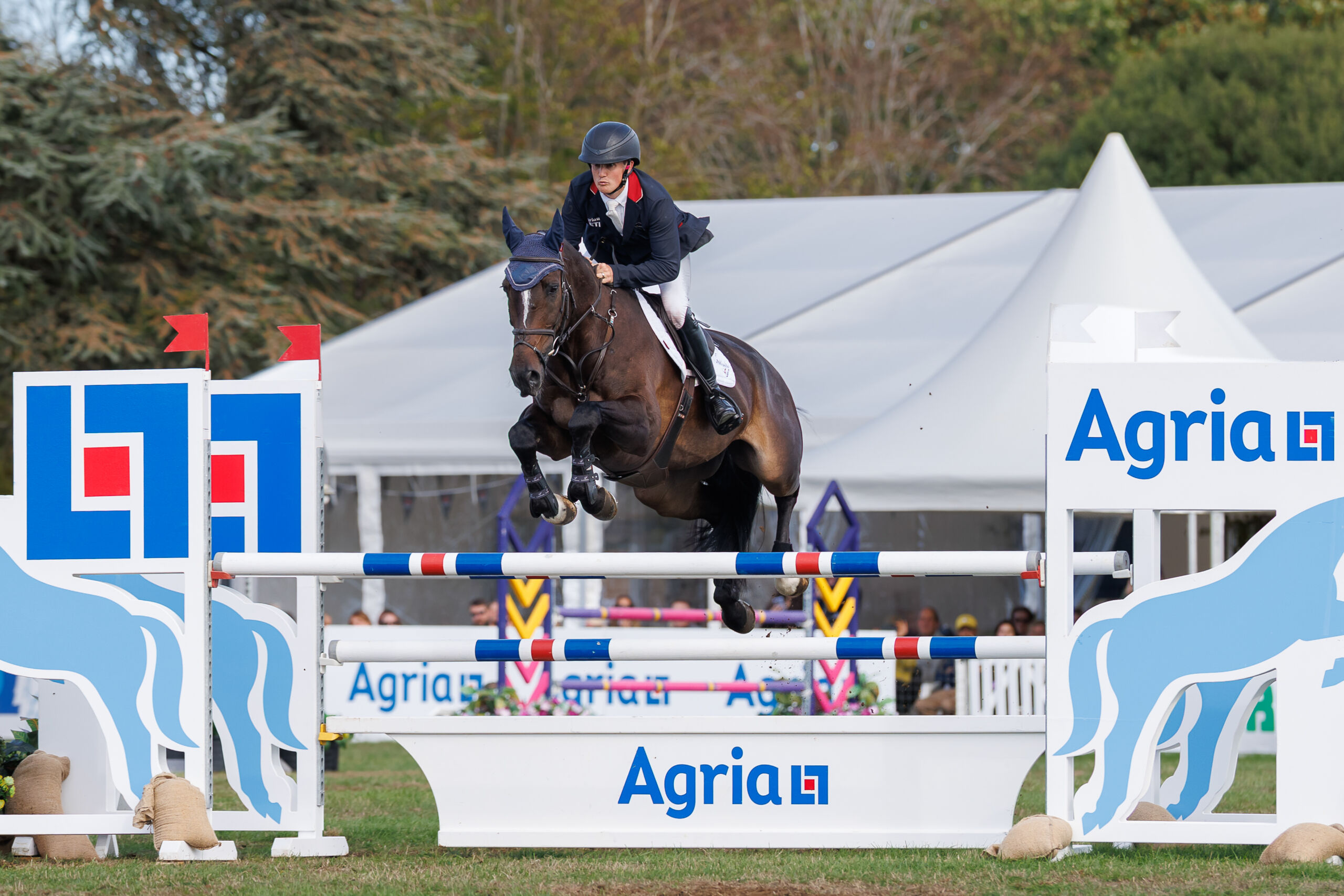 Tom McEwen (GBR) and The Fieldmaster during the Showjumping for the Agria CCI4*-L. 2026 Agria Blenheim Palace International Horse Trials. Woodstock, Oxford. England. Sunday 20 September 2026. Copyright Photo: Libby Law Photography