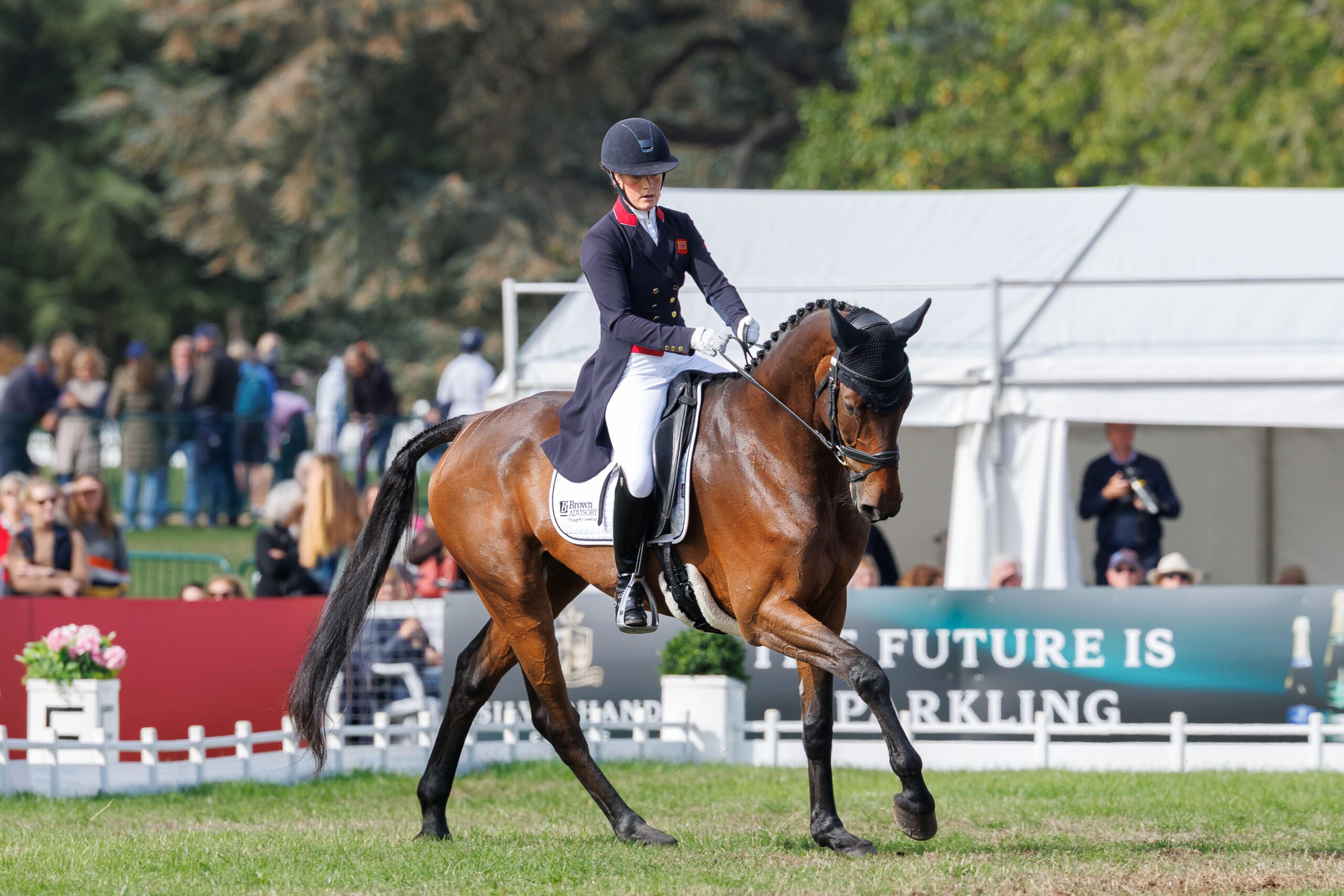 Bubby Upton (GBR) and Auckland 7 during the 2nd day of Dressage for the GFS Saddles CCI4*-S - 8 & 9 year olds. 2026 Agria Blenheim Palace International Horse Trials. Woodstock, Oxford. England. Friday 18 September 2026. Copyright Photo: Libby Law Photography