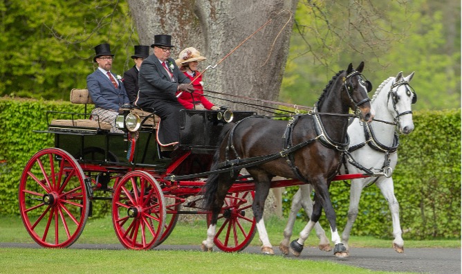 Showjumping at the Agria Blenheim Palace International horse trials