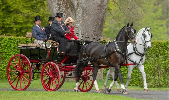 Showjumping at the Agria Blenheim Palace International horse trials 